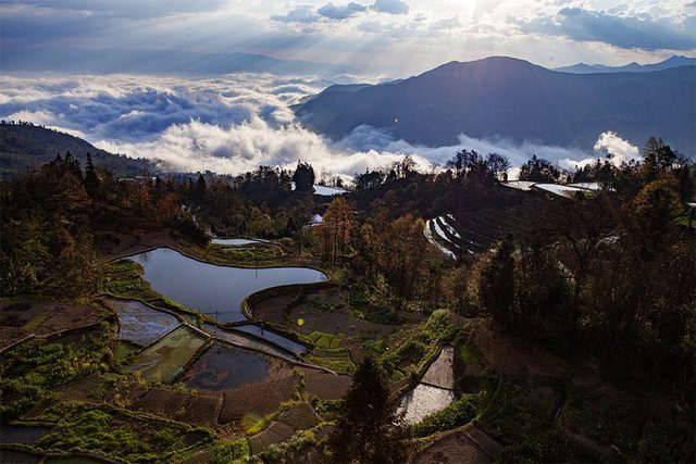 Shencun village Yuanyang rice terrace