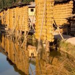 Zhanli dong village in Guizhou