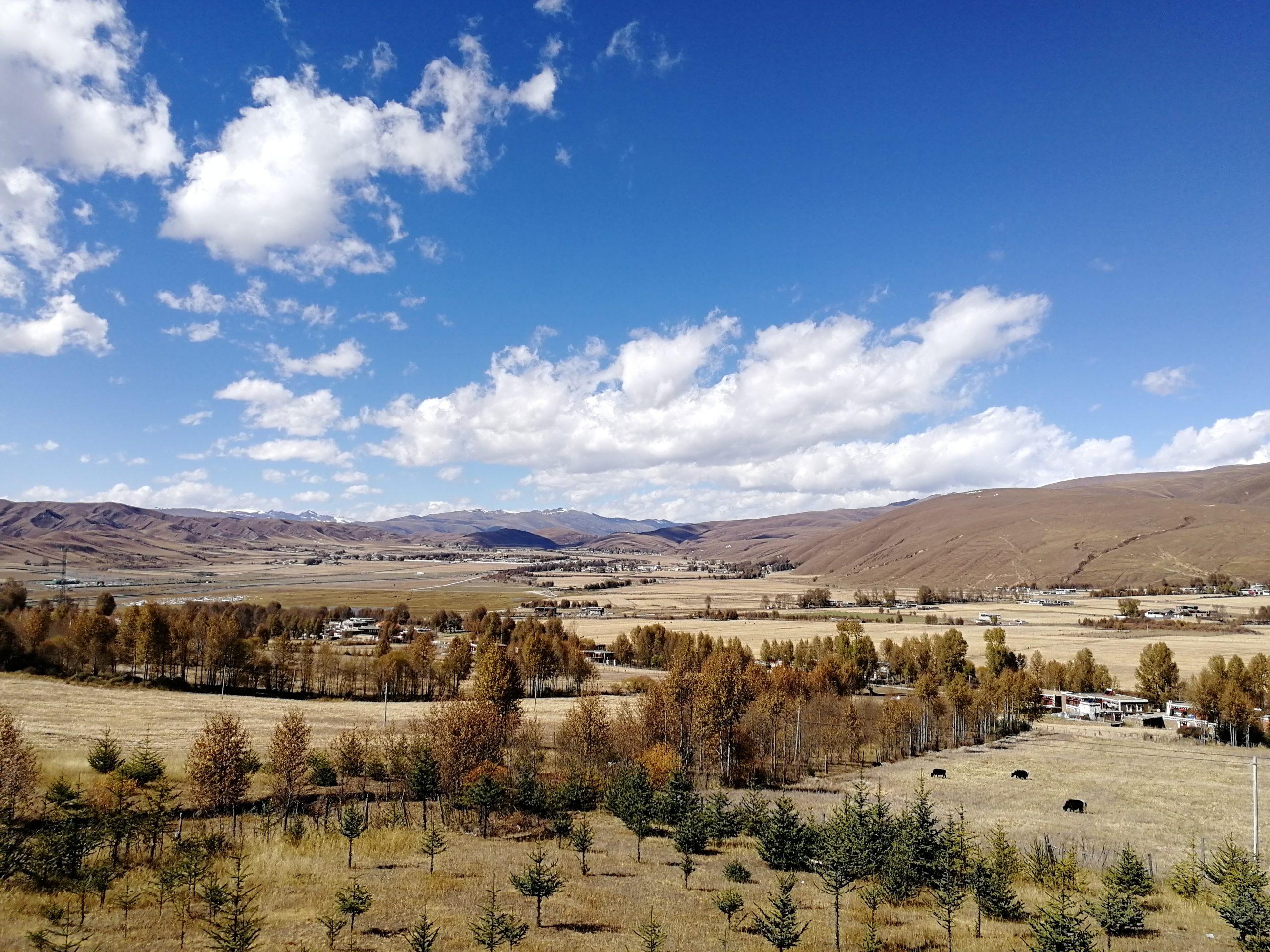 Village around Huiyuan gompa Bamei Tibetan kham