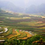 Gaoyao rice terrace Guizhou