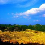 Autumn views of Gaoyao rice terrace Guizhou