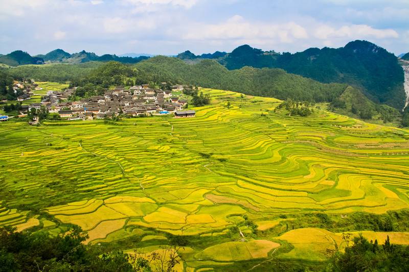 Gaoyao rice terrace in Guizhou